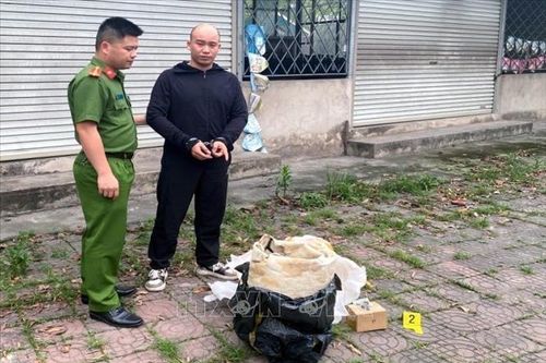 Khởi tố đối tượng mua bán động vật hoang dã quý hiếm