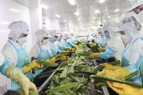 Hành trình kinh doanh của 'Vua nha đam' GC Food
