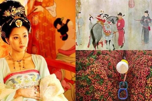 Việt Nam có 1 loại quả Dương Quý Phi thích mê nhưng Trung Quốc không trồng nổi, xưa chỉ vua chúa mới được ăn