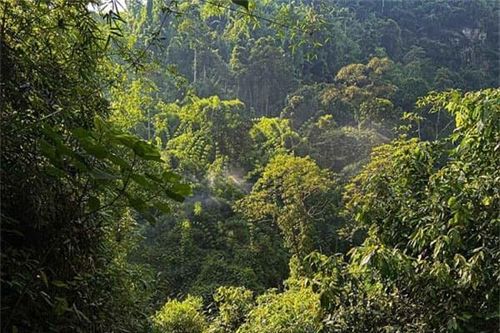 Địa danh đẹp tựa chốn bồng lai tiên cảnh chỉ cách Hà Nội 100km: Có gì bên trong mà du khách mê trekking thích khám phá?