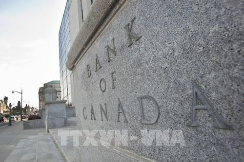 Kỳ vọng Ngân hàng trung ương Canada sớm hạ lãi suất