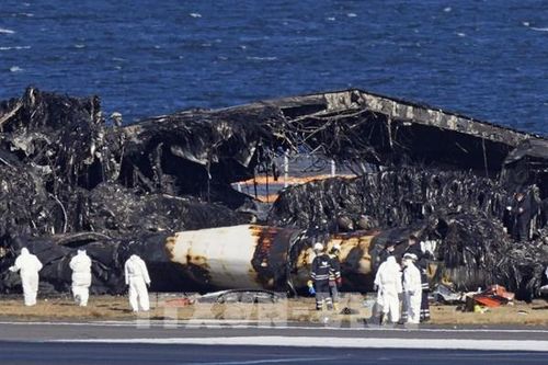 Kiểm tra đột xuất văn phòng của hãng hàng không Japan Airlines