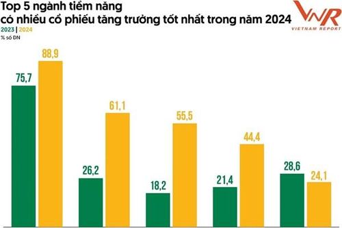 Top 5 ngành có nhiều cổ phiếu tăng trưởng tốt nhất năm 2024