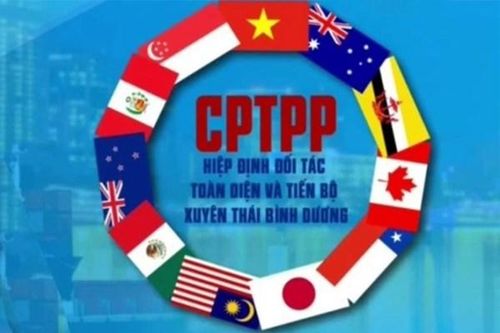 Indonesia sẽ nộp đơn gia nhập CPTPP trong năm nay