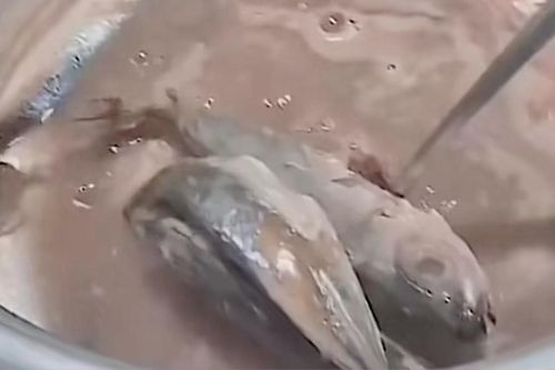 Cô gái đu trend gửi người yêu tương lai, dân mạng xem xong liền quay xe khẩn cấp