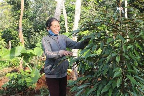 Đắk Lắk: Phụ nữ Buôn Hồ lồng ghép hiệu quả các hoạt động thay đổi nếp nghĩ, cách làm