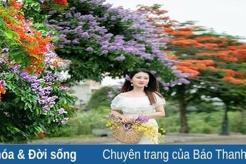 Màu tháng 5: Sắc hoa - Mảnh hồn phố