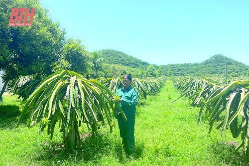 Tích tụ đất đai - nhân lên những mô hình hiệu quả