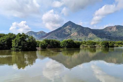 Màu xanh ở Tân Đảo