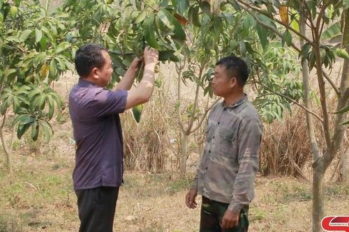 Đảng bộ xã Pắc Ngà lựa chọn nội dung đột phá, mô hình phù hợp