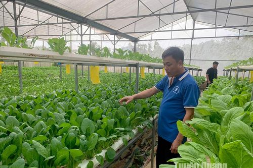 Kết nối nông nghiệp thông minh