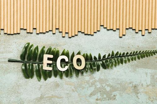 Chuyển đổi xanh - Động lực tăng trưởng bền vững cho doanh nghiệp