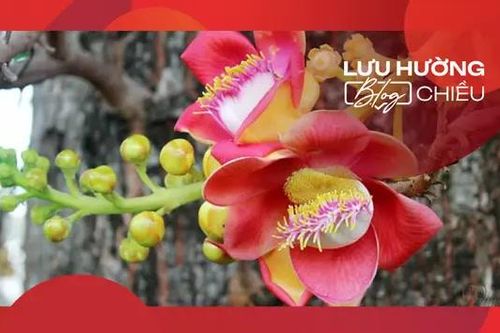 Đưa tay đón cánh ngọc kỳ lân