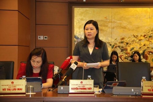 Đại biểu Quốc hội băn khoăn việc coi dao là vũ khí để kiểm soát tuyệt đối