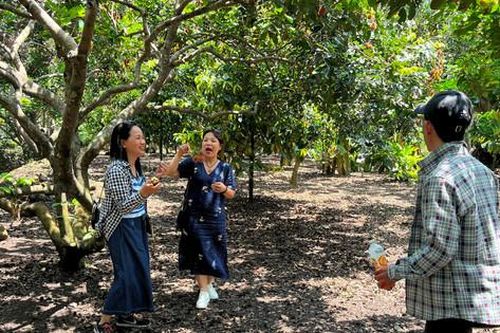 Sắp tổ chức Lễ hội trái cây Long Khánh