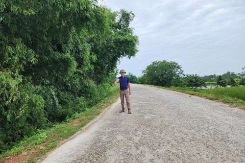 Hàng trăm km đê ở Thanh Hóa chưa đảm bảo cao trình chống lũ