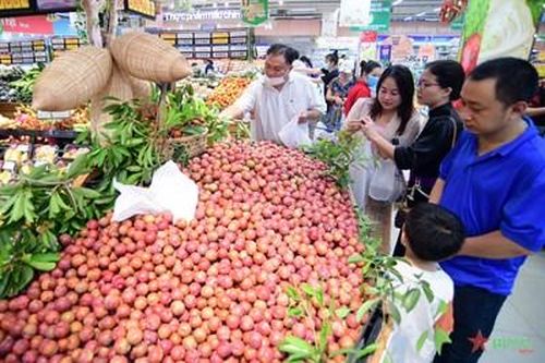 Đưa nông sản và mận hậu Sơn La vào hệ thống phân phối hiện đại