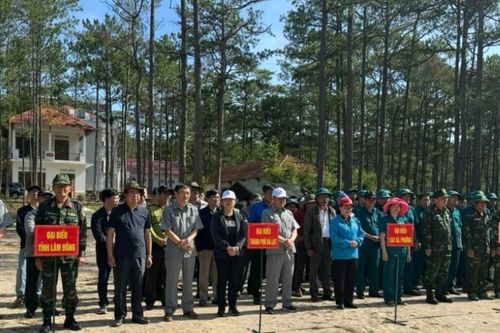 Đà Lạt: Phát động trồng hơn 1.000 cây mai anh đào trong lực lượng vũ trang