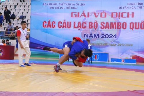 150 vận động viên tham gia Giải vô địch các câu lạc bộ Sambo quốc gia năm 2024