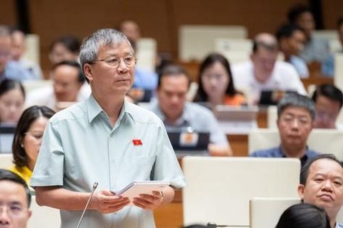 Đại biểu Quốc hội: Thực sự đau buồn trước 'nạn dịch' cán bộ sợ trách nhiệm