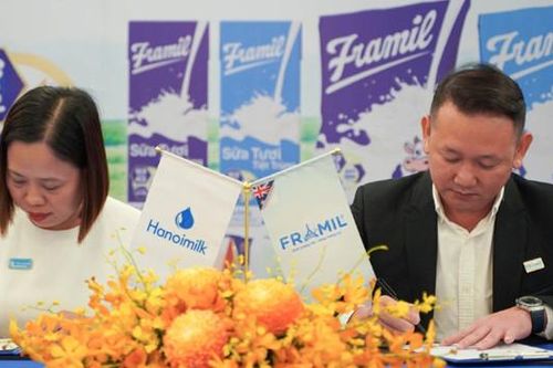 Sữa tươi Tiệt trùng Framil - thơm ngon tự nhiên, tốt cho sức khỏe