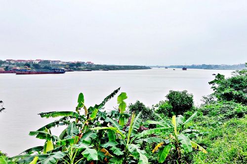 Khơi dòng Thiên Đức