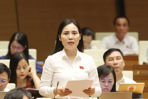 Đại biểu Quốc hội nêu giải pháp ngăn 'nạn' cán bộ né tránh, sợ trách nhiệm