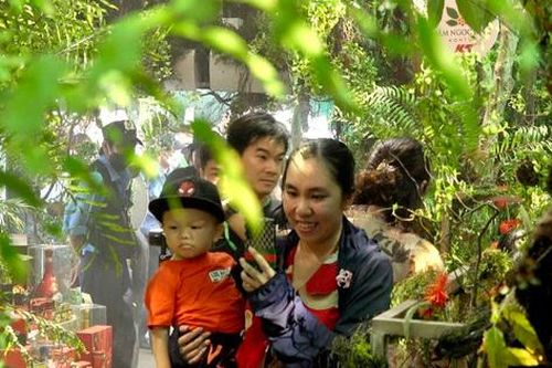 Lễ hội Sâm và hương liệu, dược liệu quốc tế TPHCM: Tái hiện rừng sâm Ngọc linh giữa phố thị