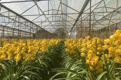 Bài 1: Tiềm năng và cơ hội lớn nhưng thách thức còn nhiều