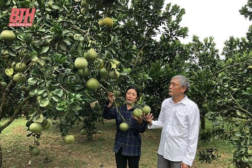 Những tấm gương người có uy tín học và làm theo Bác