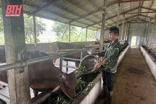Ý chí làm nên thành công của hội viên nông dân nghèo