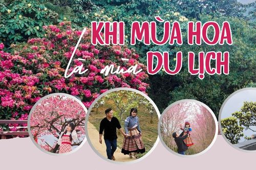 Khi mùa hoa là mùa du lịch