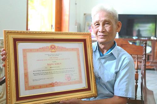 'Bóng cả' trên ngàn