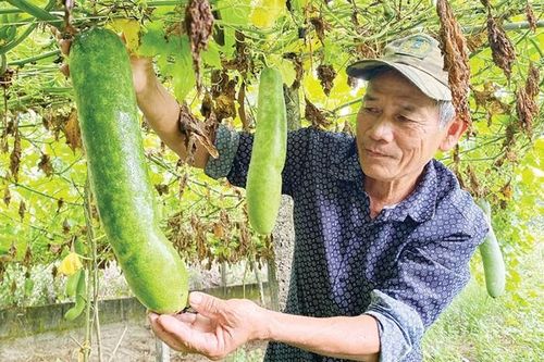 Gương sáng ông Tiên
