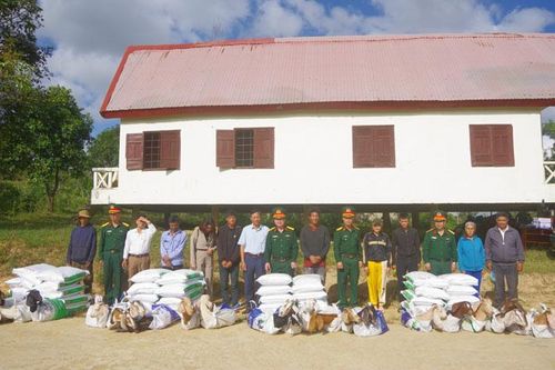 Công ty TNHH MTV Cà Phê 15: Phát triển kinh tế hiệu quả gắn với giữ vững an ninh quốc phòng