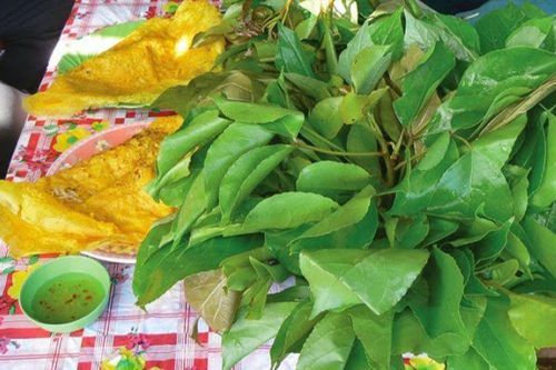 Cây dại chỉ trồng hàng rào bỗng thành đặc sản, giá lên tới 90.000 đồng/kg, trị được nhiều bệnh