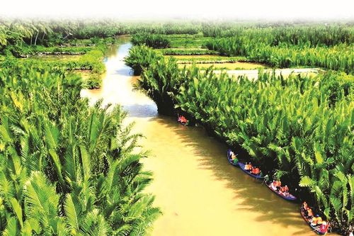 Khám phá rừng dừa nước Tịnh Khê