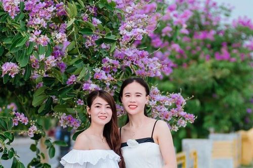 'Check-in' với hoa bằng lăng
