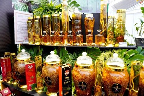Người dân và du khách 'đã mắt' với các loại sâm 'đổ bộ' về lễ hội