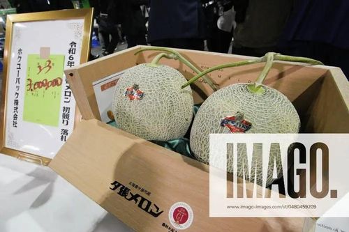Cặp dưa lưới Nhật Bản vừa bán gần nửa tỷ có gì đặc biệt?