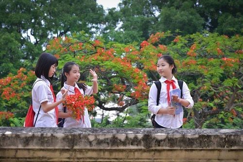 Đừng bắt con em phải tham dự 'học kỳ thứ 3'