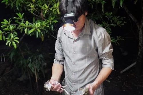 Dân miền Tây rủ nhau vác loa ra đồng để... bắt ếch