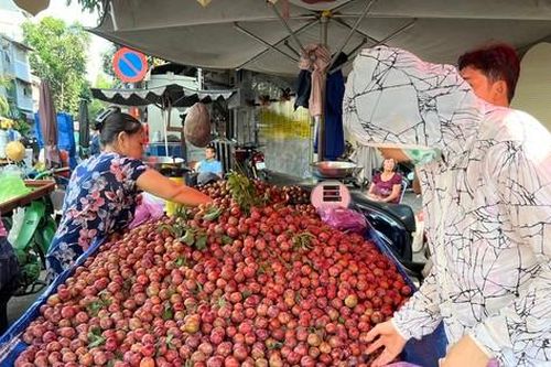 Mận hậu đổ bộ Sài thành, 'giá nào cũng có'