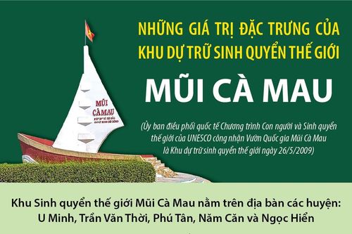Những giá trị đặc trưng của Khu dự trữ sinh quyển thế giới Mũi Cà Mau