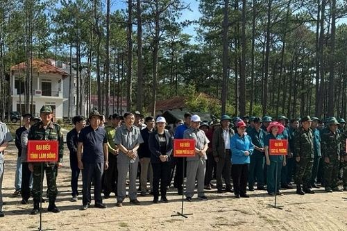 Đà Lạt: Lực lượng vũ trang phát động trồng rừng, trồng cây phân tán