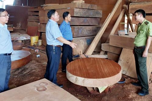 Gia tăng tình trạng xâm phạm tài nguyên rừng trên địa bàn Gia Lai