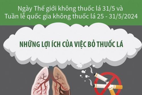 Ngày Thế giới không thuốc lá 31/5 và Tuần lễ quốc gia không thuốc 25 - 31/5/2024: Những lợi ích lâu dài của việc bỏ thuốc lá