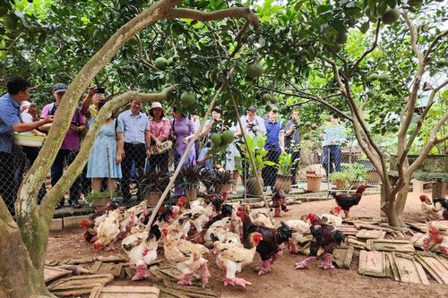 Đặc sắc tinh hoa ẩm thực Hưng Yên
