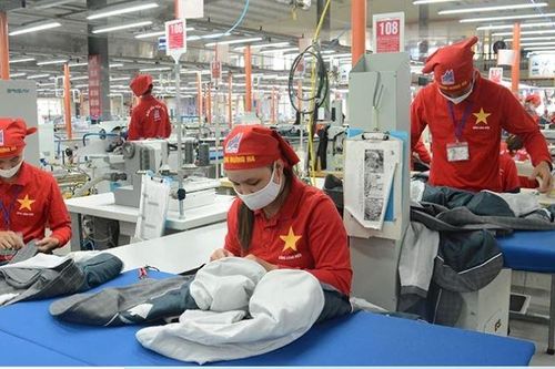 Tận dụng tốt cơ hội từ các FTA