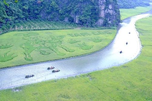 Ninh Bình: Chuẩn bị sẵn sàng cho Tuần Du lịch 'Sắc vàng Tam Cốc – Tràng An'
